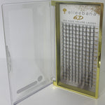 6D Lash Extensions