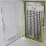 6D Lash Extensions